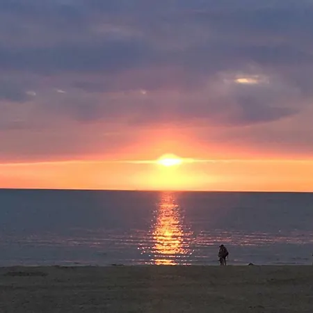 公寓 Strandhuis 海边的艾格蒙特