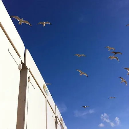 Strandhuis 公寓 海边的艾格蒙特