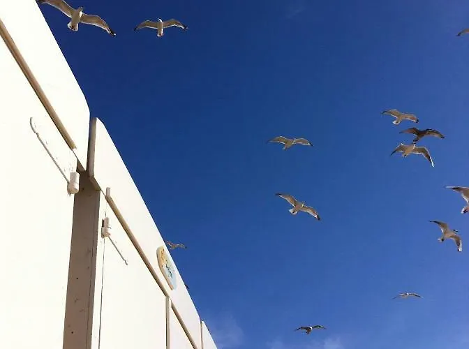 Strandhuis Lägenhet Egmond aan Zee